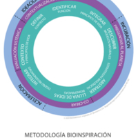 Metodología de biomímesis.jpg