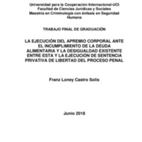 La ejecución del apremio corporal ante el incumplimiento de la deuda alimentaria y la desigualdad existente entre esta y la ejecución de sentencia privativa de libertad del proceso penal .