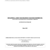 UNDP_Scenario_Spanish.pdf